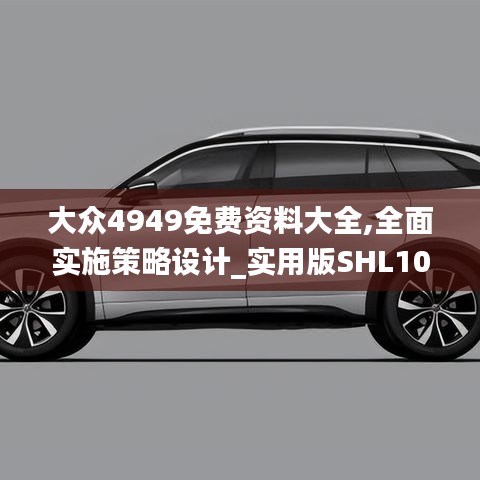 大众4949免费资料大全,全面实施策略设计_实用版SHL10.6