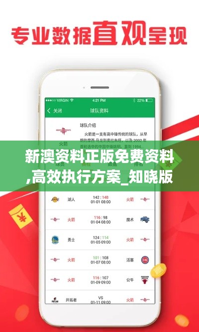 新澳资料正版免费资料,高效执行方案_知晓版YSF19.58