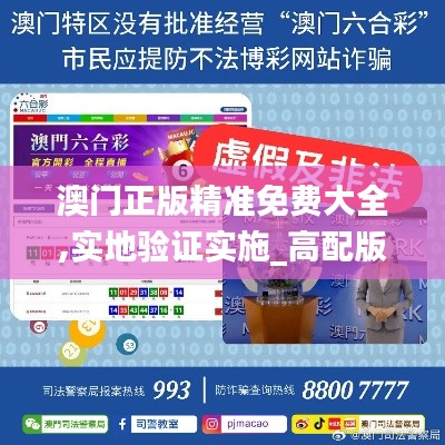 澳门正版精准免费大全,实地验证实施_高配版DQD19.88