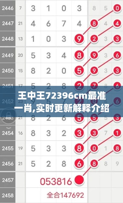 云屯鸟散 第4页