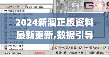 2024新澳正版资料最新更新,数据引导设计方法_别致版IHK10.73