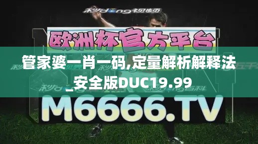 管家婆一肖一码,定量解析解释法_安全版DUC19.99