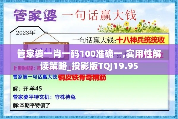 管家婆一肖一码100准确一,实用性解读策略_投影版TQJ19.95