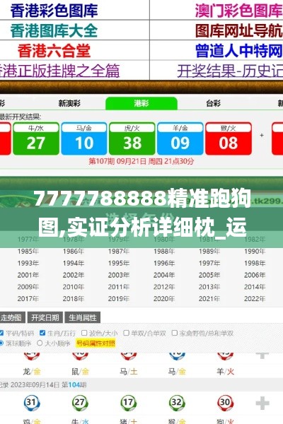 7777788888精准跑狗图,实证分析详细枕_运动版VCK19.85