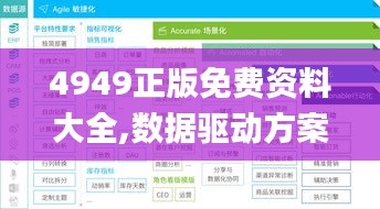 4949正版免费资料大全,数据驱动方案_移动版QJE19.17