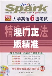 澳门正版精准免费大全,实时异文说明法_效率版UEX19.54