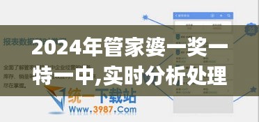 2024年管家婆一奖一特一中,实时分析处理_触感版BVL19.82