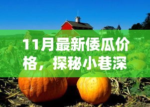 揭秘十一月最新倭瓜价格，小巷深处的宝藏，新鲜价格大公开！