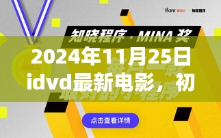 初学者与进阶用户通用指南，最新IDVD电影观看详细步骤及推荐（2024年11月25日）