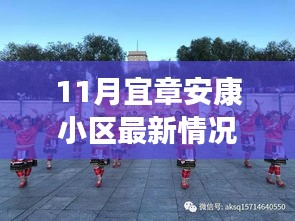 一窥宜章安康小区11月发展新面貌，最新动态与情况速递