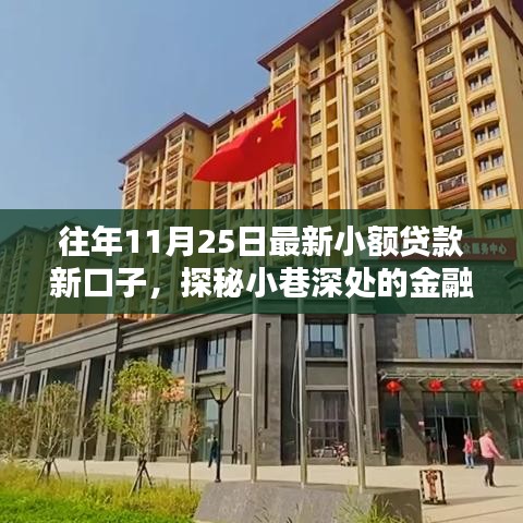 探秘小额贷款新口子特色小店，小巷深处的金融新风尚（历年11月25日最新资讯）
