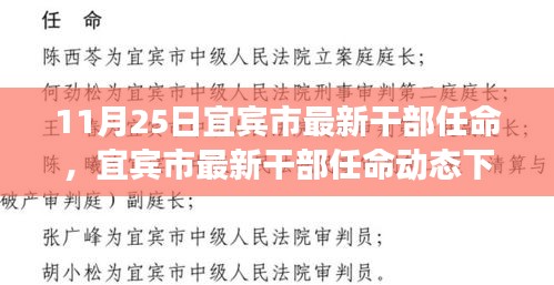 宜宾市最新干部任命动态及治理效能探讨