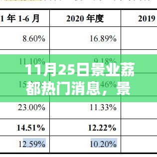 揭秘景业荔都热门消息三大要点，揭秘焦点、揭秘内幕与揭秘亮点（11月25日）
