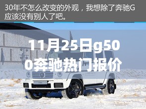 11月25日g500奔驰热门报价，11月25日G500奔驰热门报价下的购车决策探讨
