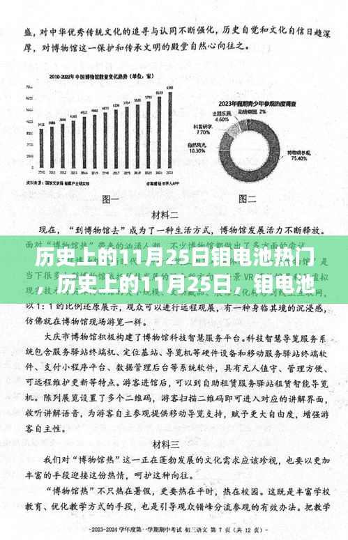 历史上的11月25日，钼电池技术革新与市场影响力深度评测日