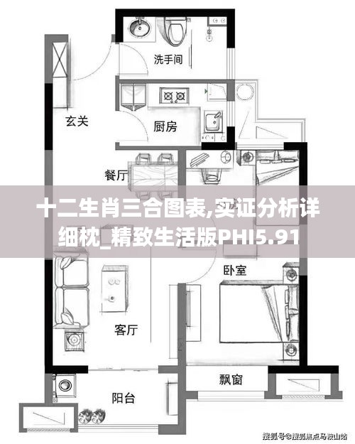 十二生肖三合图表,实证分析详细枕_精致生活版PHI5.91