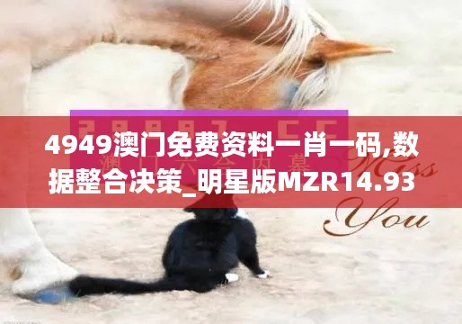 4949澳门免费资料一肖一码,数据整合决策_明星版MZR14.93