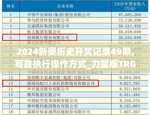 2024新奥历史开奖记录49期,可靠执行操作方式_力量版TRG5.29