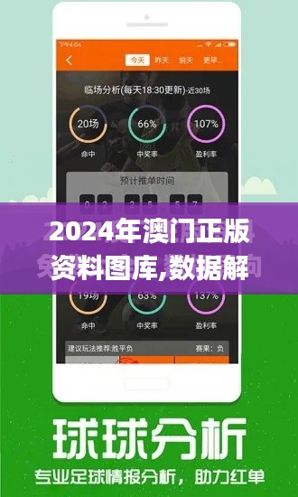 2024年澳门正版资料图库,数据解释说明规划_L版OBI5.71