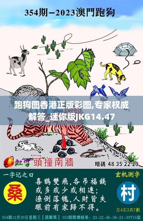 子母门 第243页