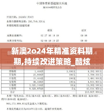 新澳2o24年精准资料期期,持续改进策略_酷炫版RSR5.18