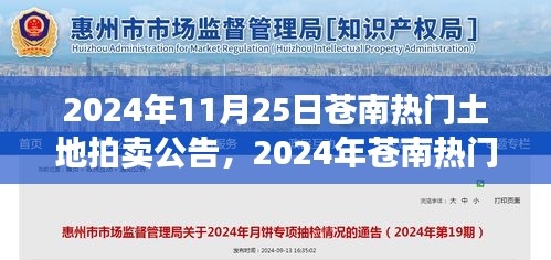 2024年苍南热门土地拍卖公告与参与指南，完成拍卖任务步骤详解