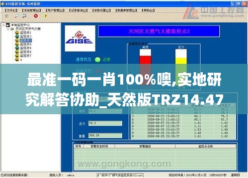 最准一码一肖100%噢,实地研究解答协助_天然版TRZ14.47