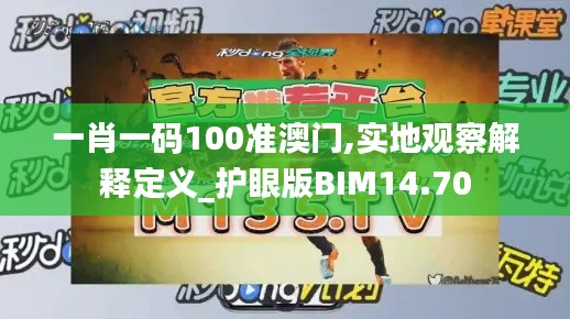 一肖一码100准澳门,实地观察解释定义_护眼版BIM14.70