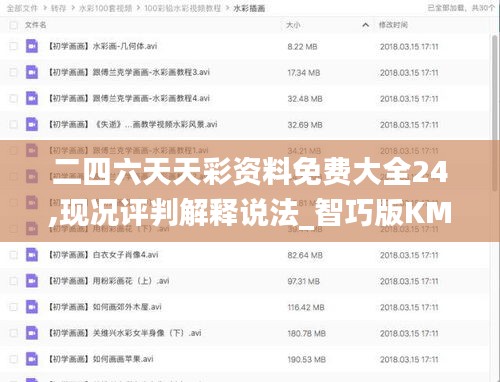 二四六天天彩资料免费大全24,现况评判解释说法_智巧版KMP5.76