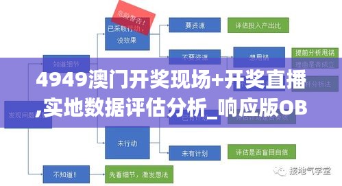 4949澳门开奖现场+开奖直播,实地数据评估分析_响应版OBD5.35