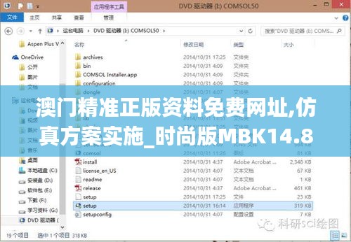 澳门精准正版资料免费网址,仿真方案实施_时尚版MBK14.88
