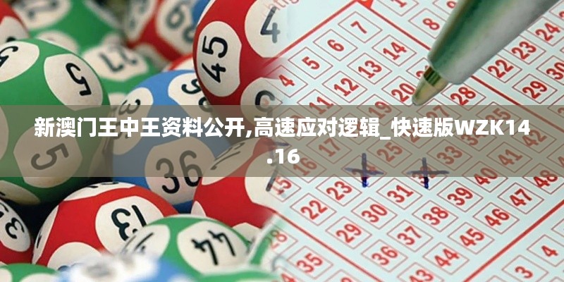 新澳门王中王资料公开,高速应对逻辑_快速版WZK14.16
