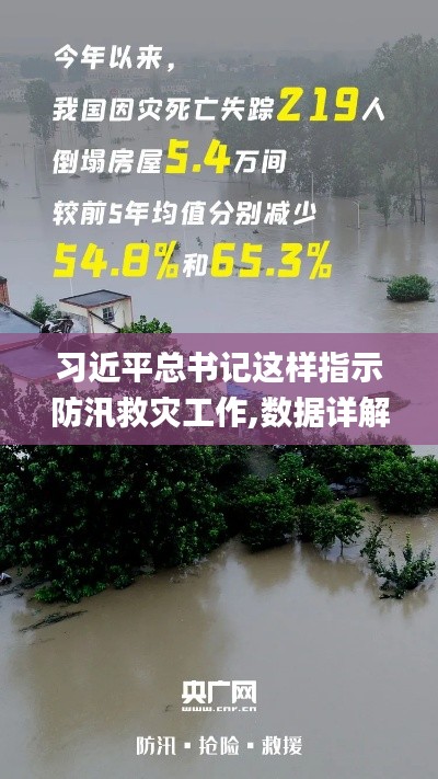 习近平总书记这样指示防汛救灾工作,数据详解说明_跨界版LXI14.47