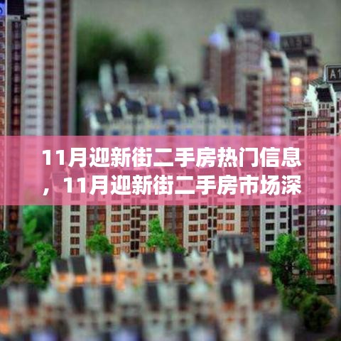 迎新街二手房市场深度解析，热门信息与趋势展望（11月最新数据）