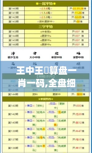 王中王鉄算盘一肖一码,全盘细明说明_声学版WWI14.40