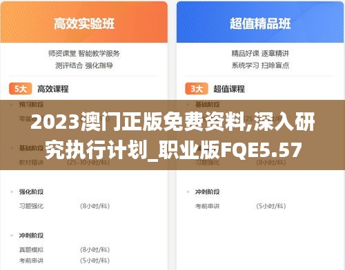 2023澳门正版免费资料,深入研究执行计划_职业版FQE5.57