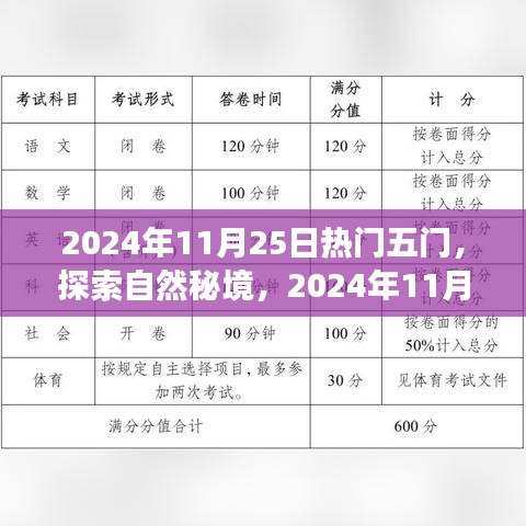 探索自然秘境，寻找内心平和与宁静的热门五门之旅（2024年11月25日）