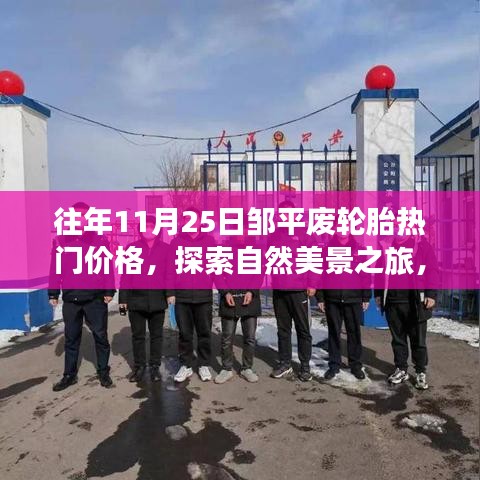 邹平废轮胎价格动态与探索自然美景之旅，宁静与平和的寻觅