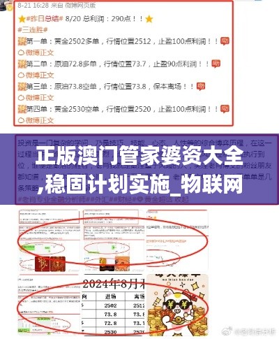 正版澳门管家婆资大全,稳固计划实施_物联网版ROI5.63