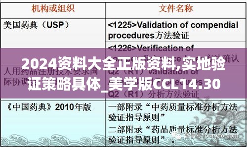 2024资料大全正版资料,实地验证策略具体_美学版CCL14.30