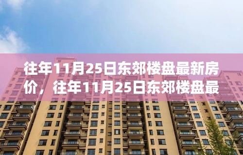 往年11月25日东郊楼盘最新房价深度解读与观点阐述