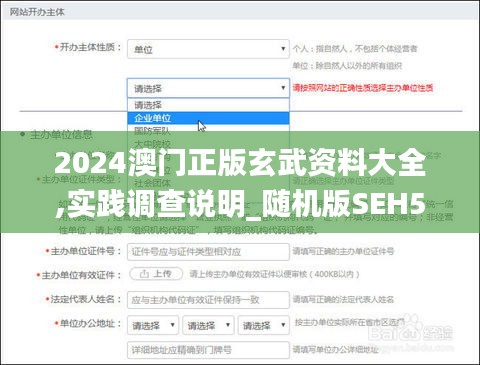2024澳门正版玄武资料大全,实践调查说明_随机版SEH5.10