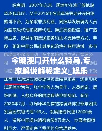 今晚澳门开什么特马,专家解说解释定义_娱乐版UOK5.33