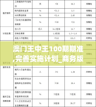 澳门王中王100期期准,完善实施计划_商务版SIL14.59