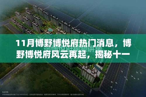 博野博悦府风云揭秘，十一月热门消息背后的故事