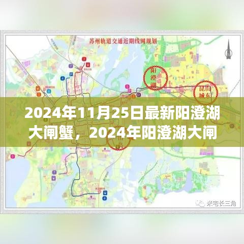 2024阳澄湖大闸蟹盛宴，新鲜捕捉的蟹香传奇