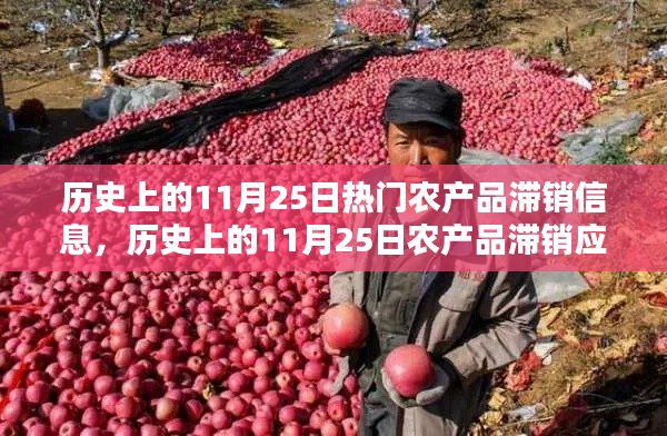 历史上的11月25日农产品滞销应对全攻略，从了解滞销到解决策略的一步教程