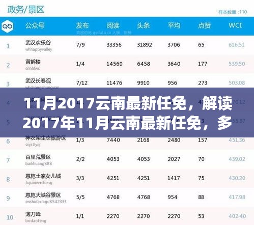 多维度视角下的观察与思考，解读云南最新任免动态与影响分析（2017年11月）