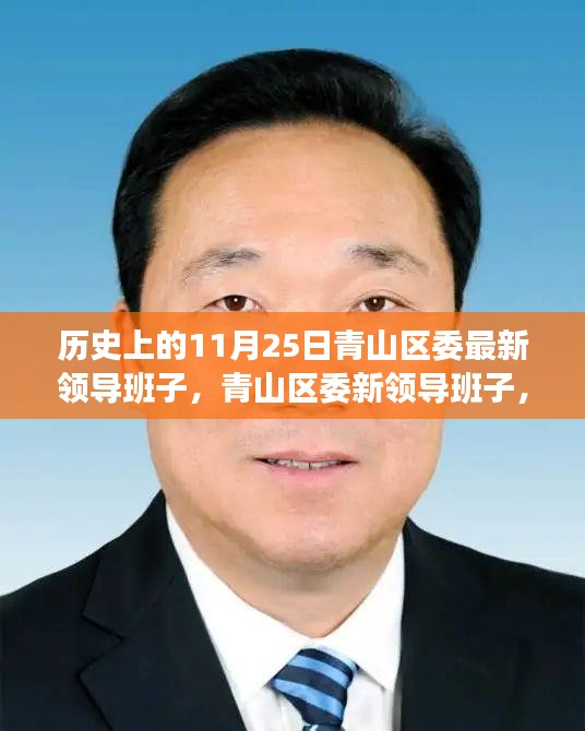 青山区委新领导班子揭晓，历史沿革与温馨的十一月序曲