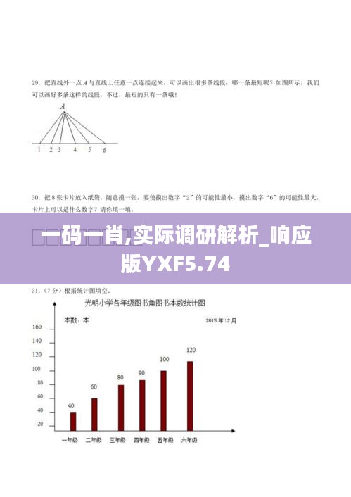 一码一肖,实际调研解析_响应版YXF5.74